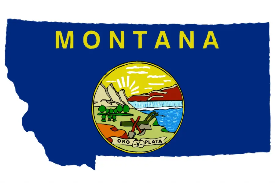 Bandeira De Montana，Estado PNG