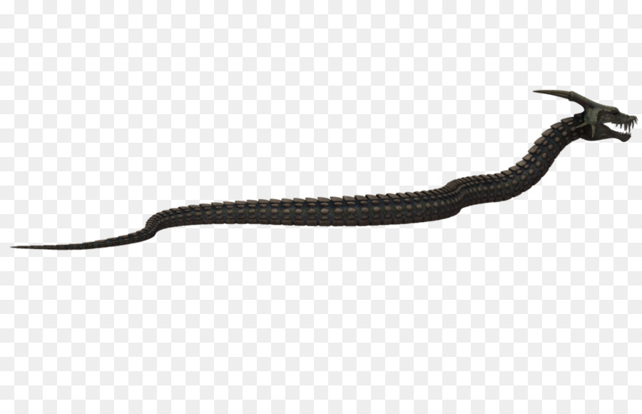 Cobra，Réptil PNG