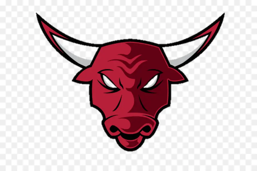Chicago Bulls，Logo PNG