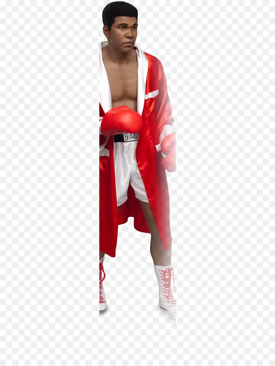 Boxer Em Robe Vermelho，Boxe PNG