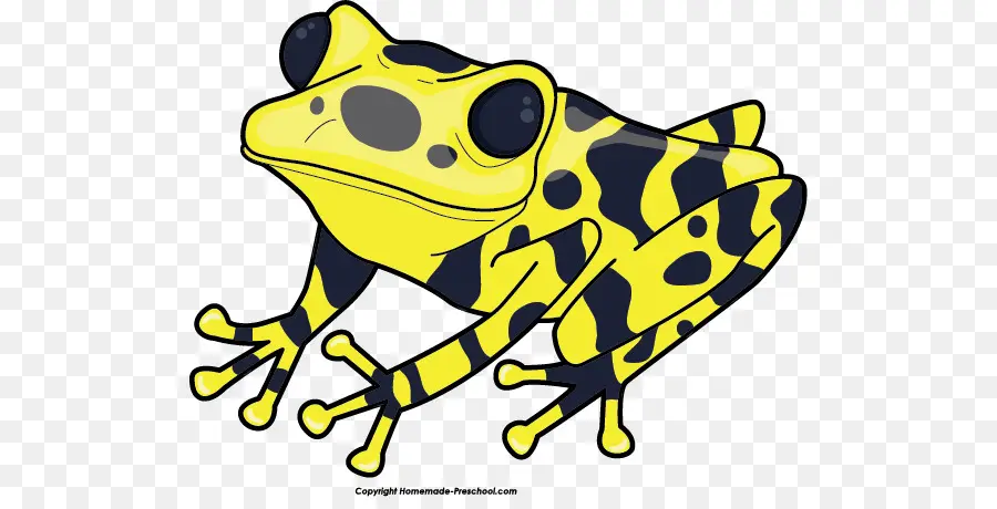 Sapo Amarelo，Sapo PNG