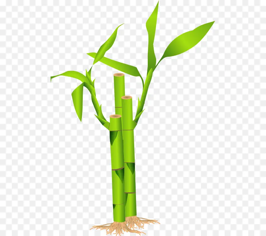 Bambu Verde，Natureza PNG