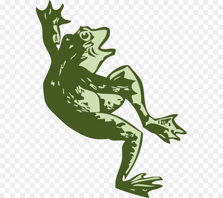 Sapo，Stockxchng PNG