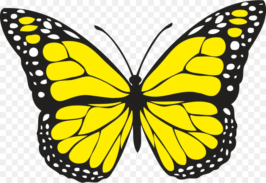 Borboleta，Amarelo PNG