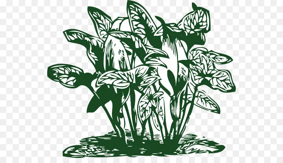 Plantas，Folhas PNG