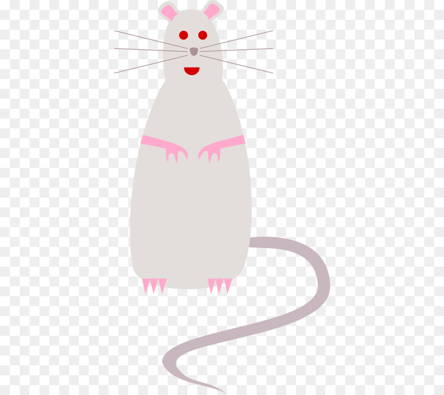 Rato Cinzento，Bonitinho PNG