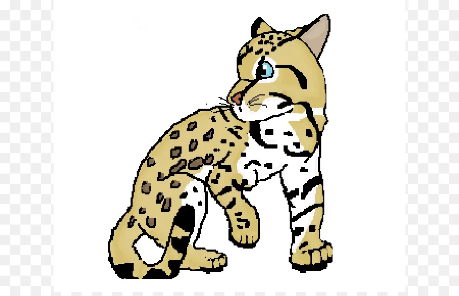 Ocelot，Felidae PNG