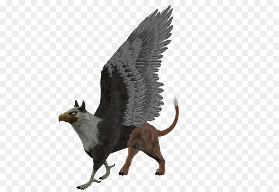 Griffin，Estoque PNG