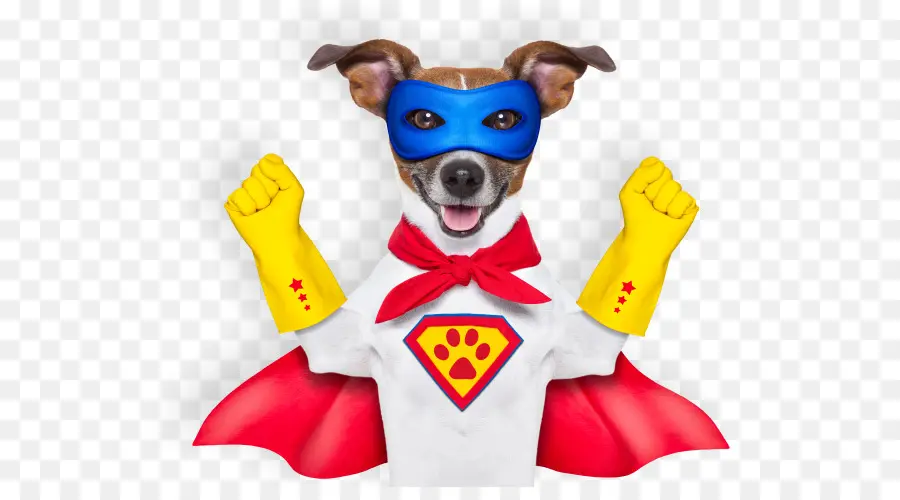 Cachorro Super Herói，Super Herói PNG