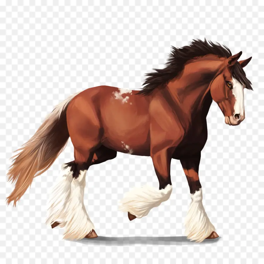 Cavalo Clydesdale，American Quarter Horse PNG