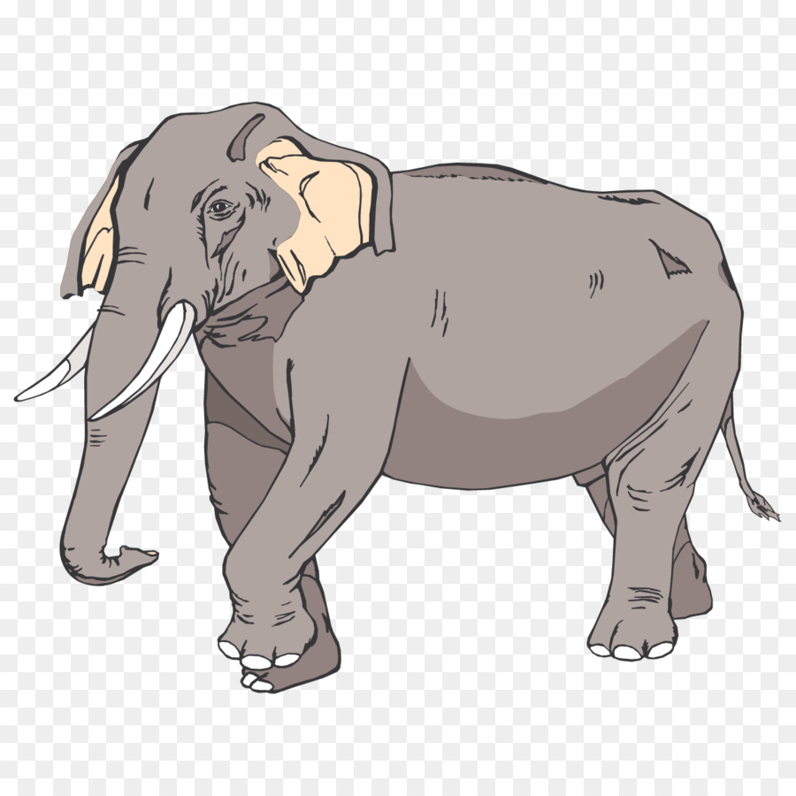 Elefante Asiático，Elefante PNG