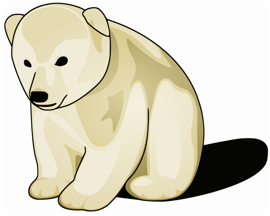 Urso Polar，Urso PNG