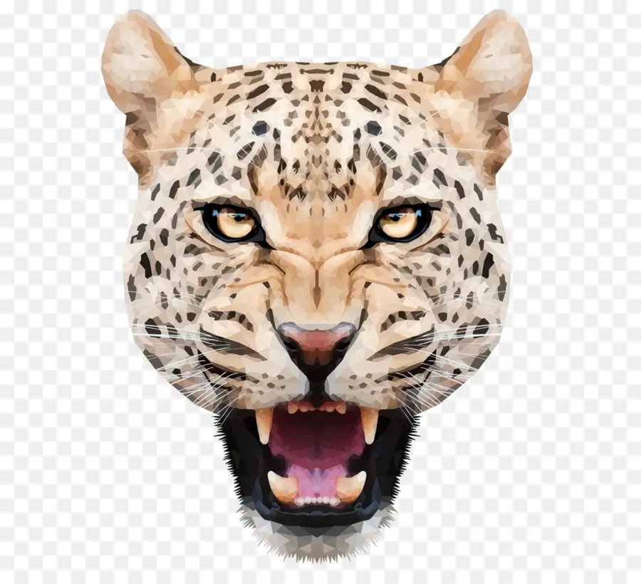 Leopard，O Snow Leopard PNG