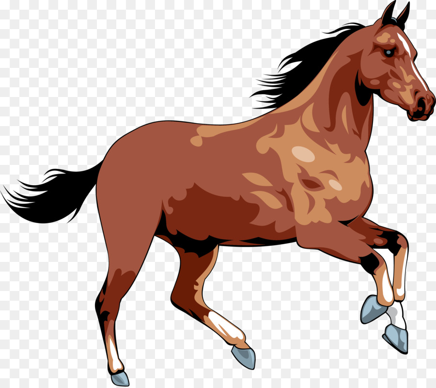 De Pé A Cavalo, Equestre, Trote E Galope png transparente grátis