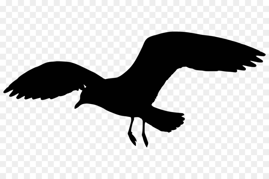 Featured image of post Silhueta Gaivotas Png The best silhouettes for commercial use