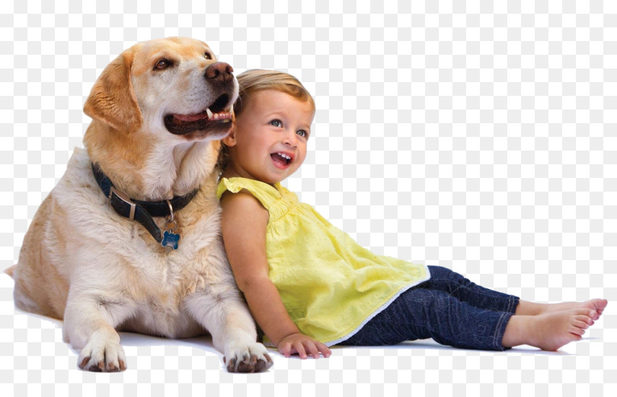 Cachorro E Criança，Bicho De Estimação PNG