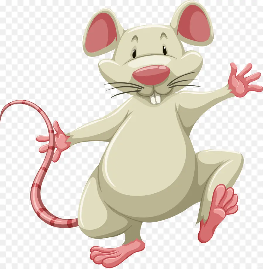 Rat，Flashcard PNG