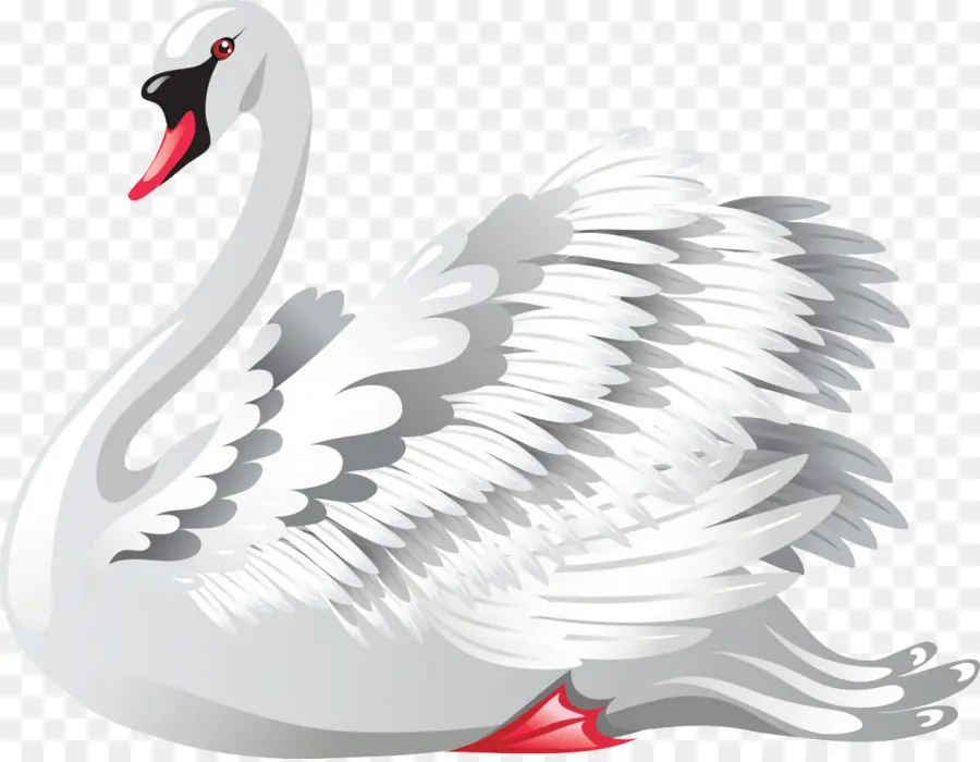 Cisne Negro，Royaltyfree PNG