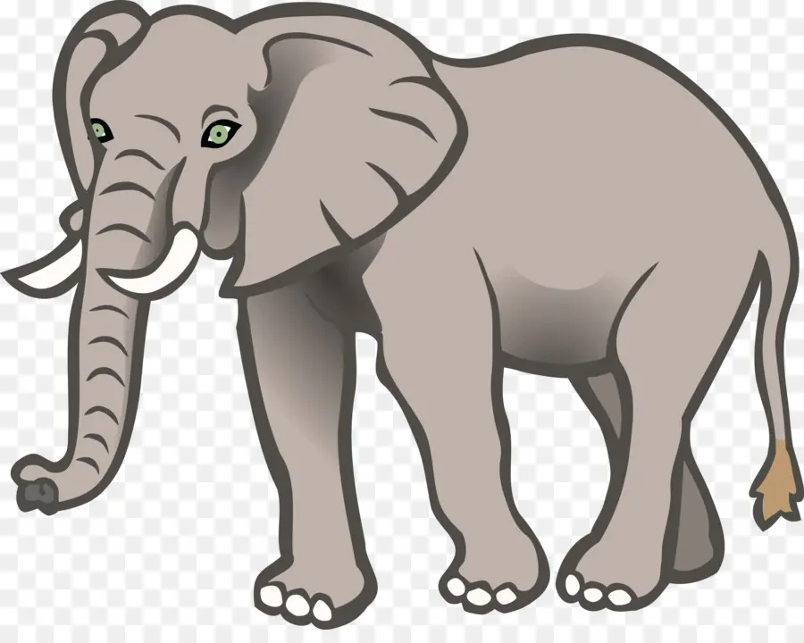 Elefantes Grandes，Elefante PNG