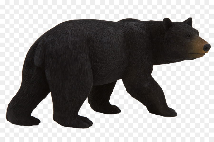 Urso Negro，Animais Selvagens PNG