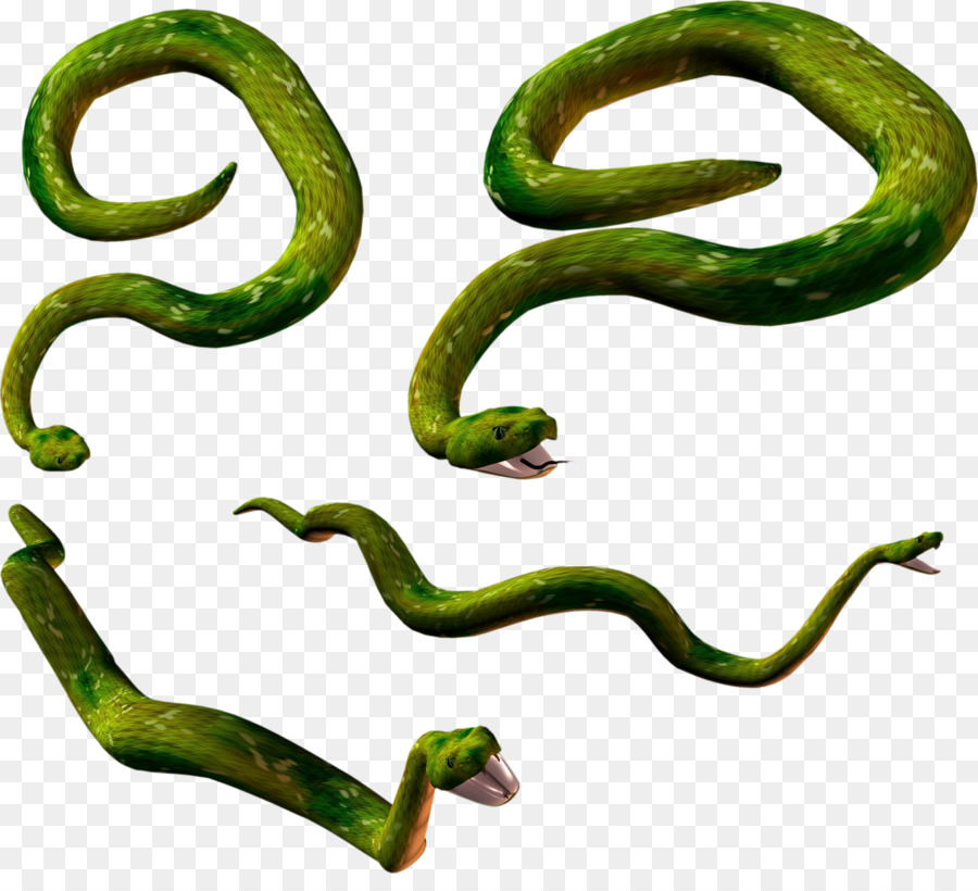 Cobra，Lagarto PNG