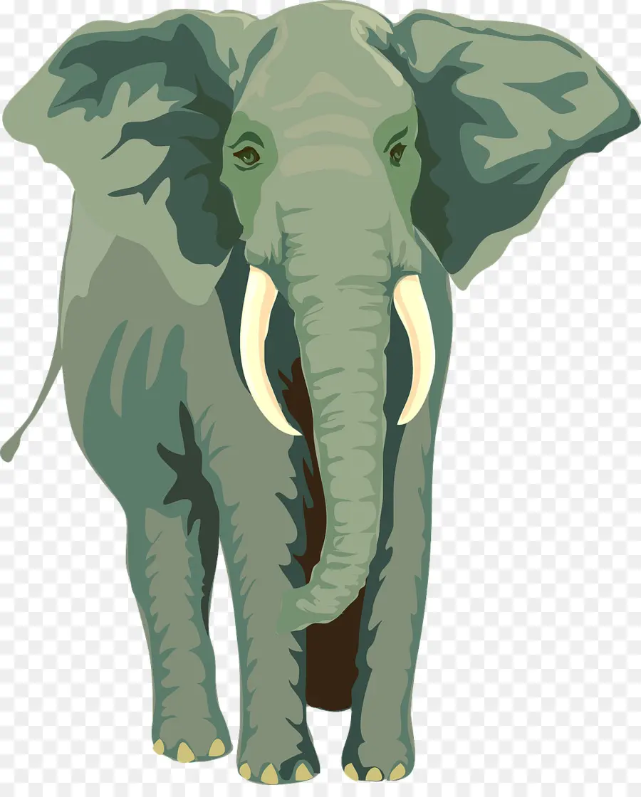 Elefante，Presas PNG