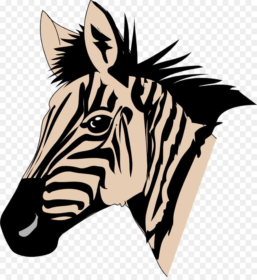 Zebra，Facebook PNG