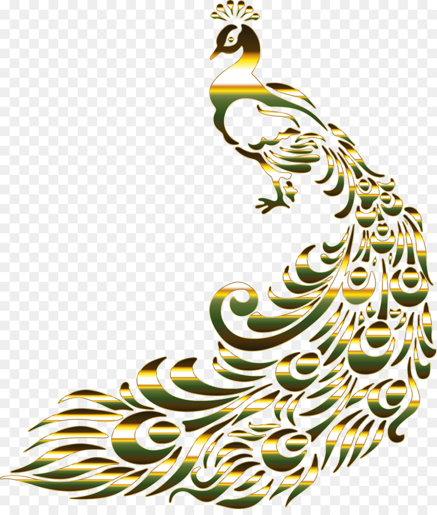 Aves，Peafowl PNG