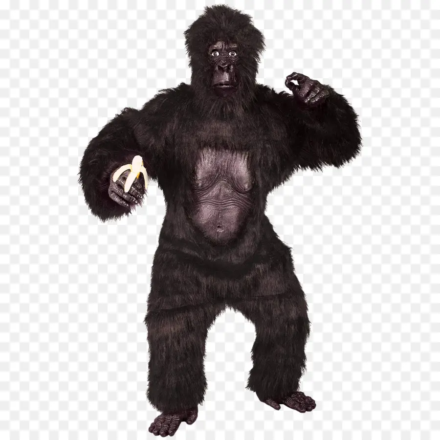 Gorila，Traje PNG