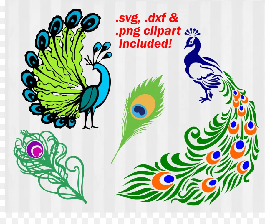 Pavão Clipart，Penas PNG