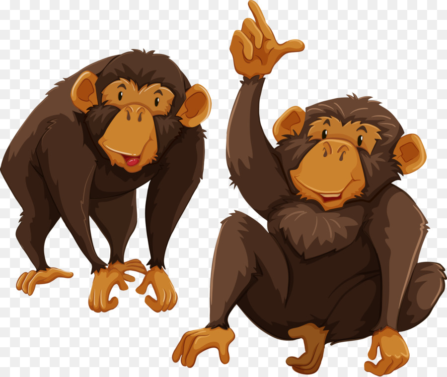 Chimpanzés，Dois PNG