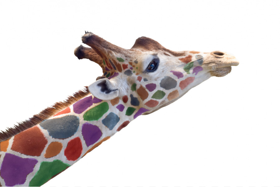 Girafa，Colorido PNG