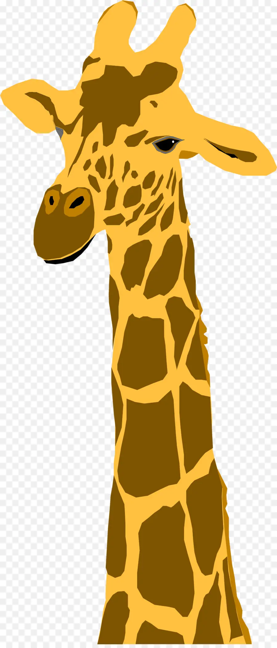 Girafa De Desenho Animado，Alto PNG