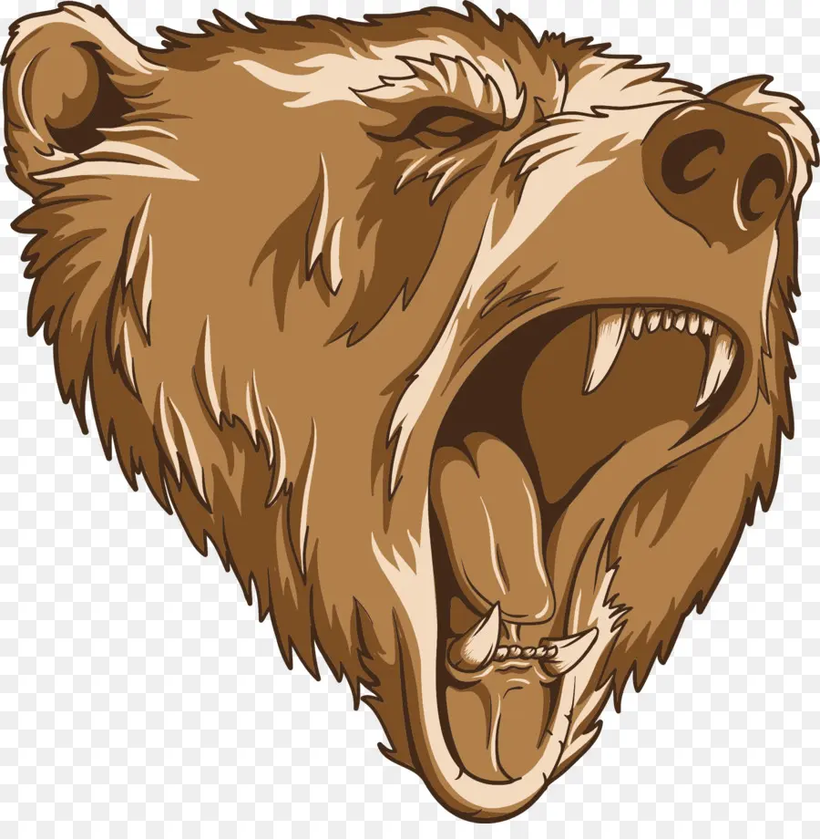 Urso，Grizzly Bear PNG