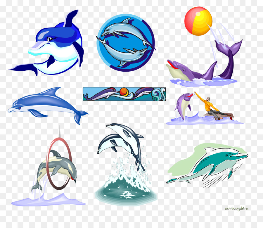 Dolphin，Baleia PNG