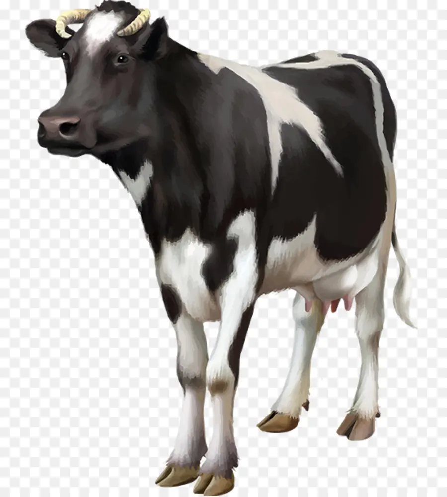 Holstein Frísia Gado，Leite PNG