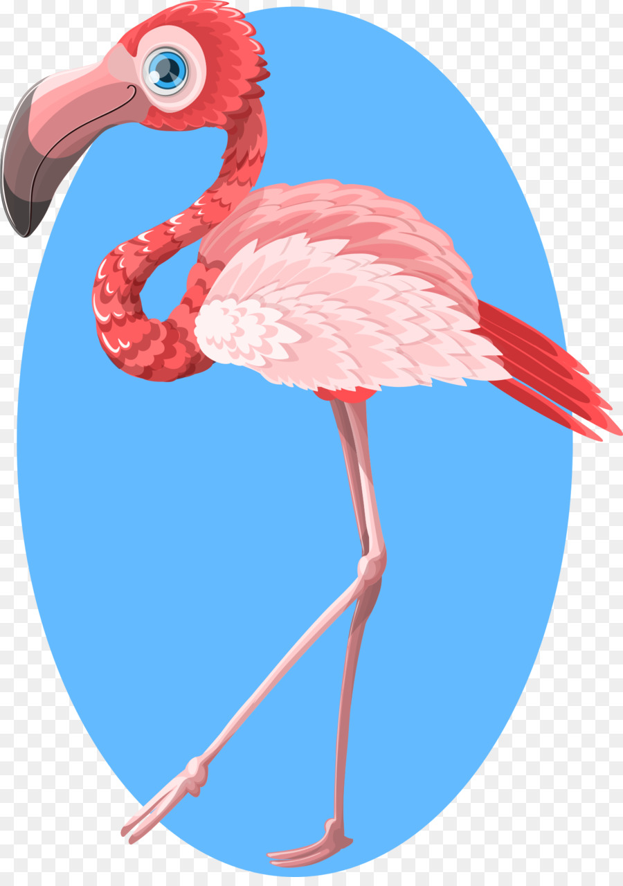 Flamingo，Pássaro PNG