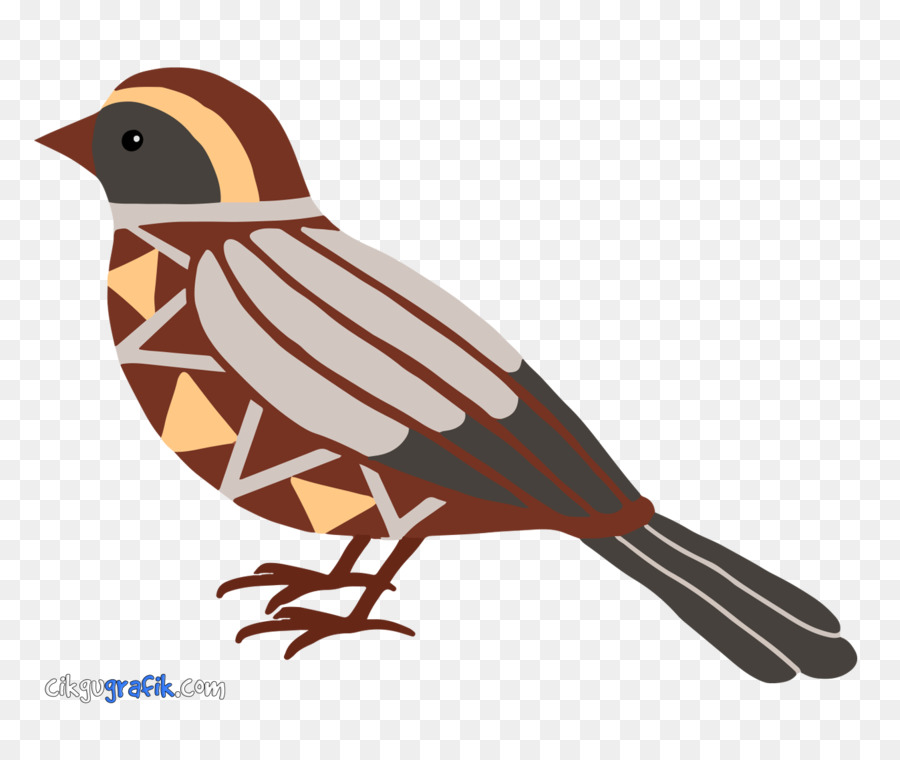 Aves，Geometria PNG