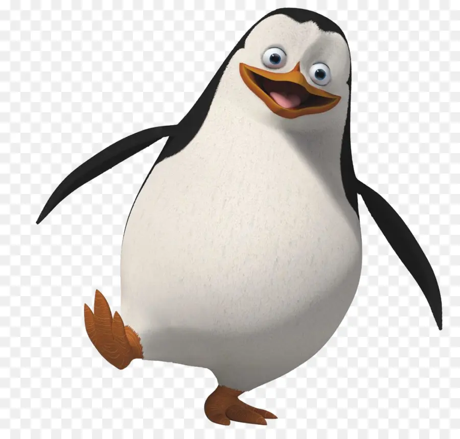 Pinguim，Pássaro PNG