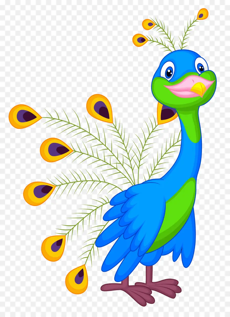 Pavão De Desenho Animado Azul E Verde，Penas PNG