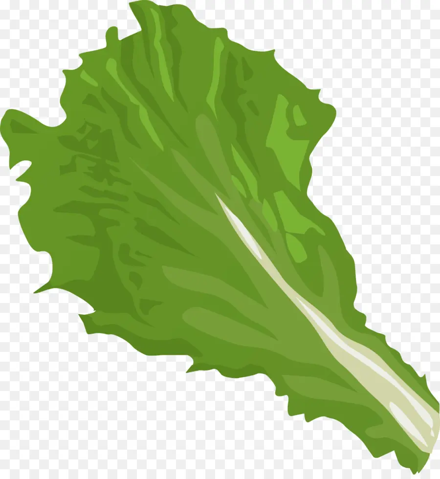 Alface Iceberg，Hamburger PNG