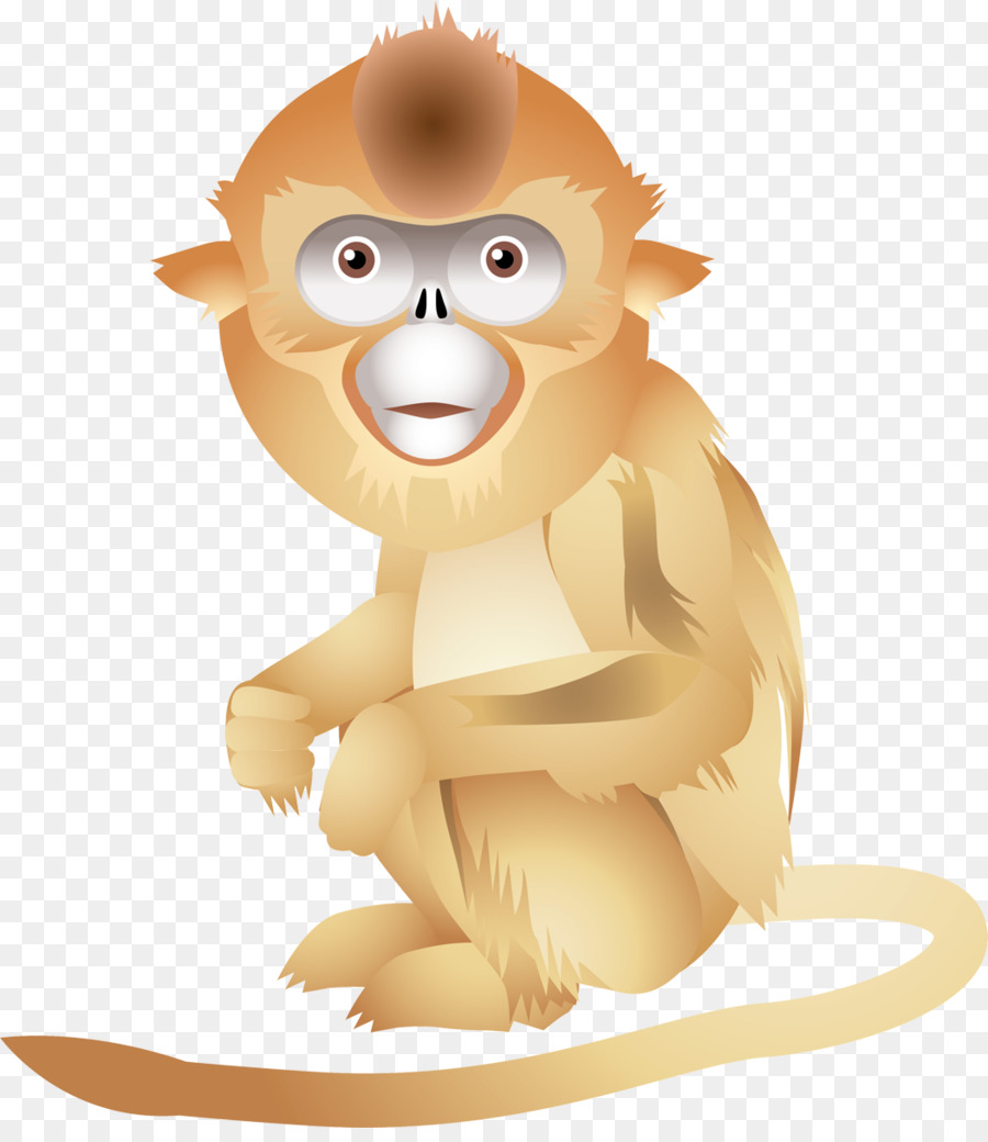 Mico Leão Dourado，Macaco PNG