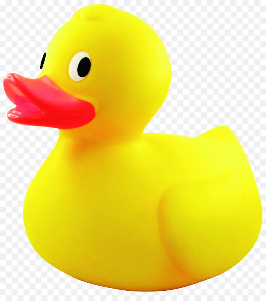 Pato，Pato De Borracha PNG