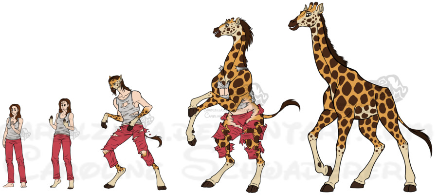 Girafa，Cheetah PNG