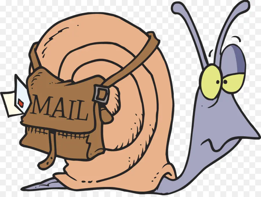 Snail Mail，Caracol PNG