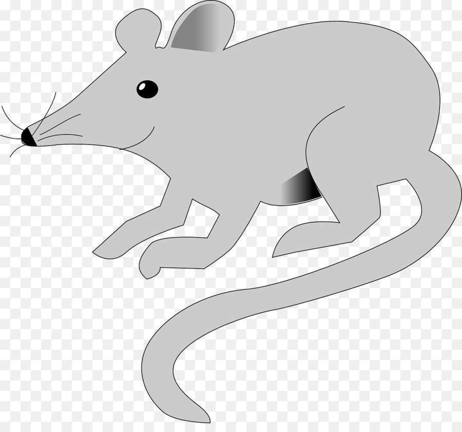 Rato Cinzento，Roedor PNG