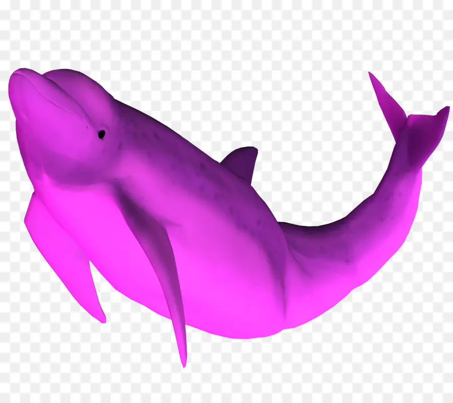 Golfinho Rosa，Golfinho PNG