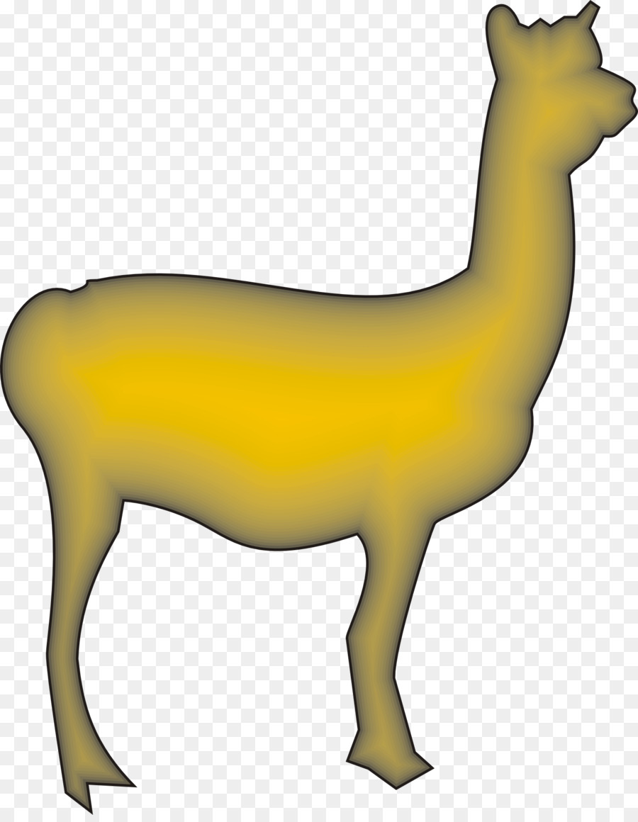 Lhama，Camelídeos PNG