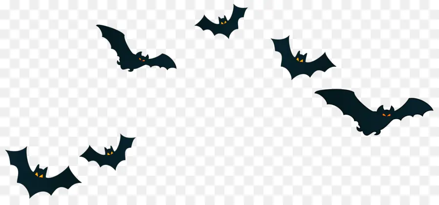 Bat，Dia Das Bruxas PNG