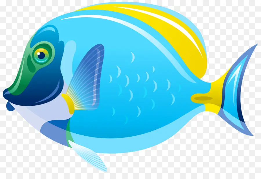 Peixe，Os Peixes De água Salgada PNG